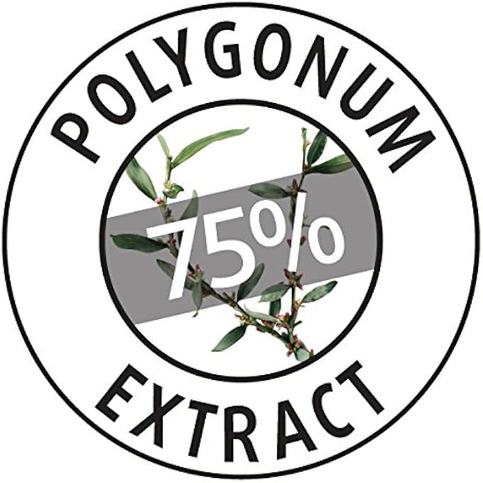 Moraz NATURAL HERBAL DAY CREAM BY | 1.7 OZ. | NATURAL POLYGONUM EXTRACTS | NOURISH YOUR SKIN - Image 2